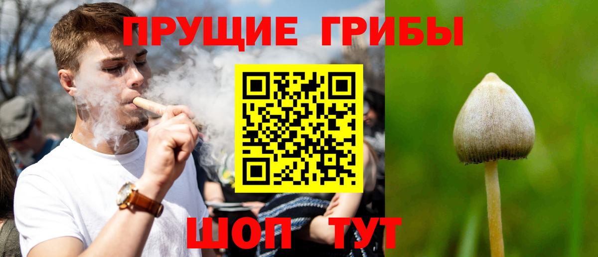 Карасук  Галлюциногенные грибы Magic Shrooms  где купить   Вход с VPN 